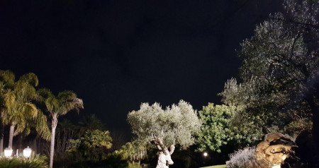 One Night Orto Botanico - Open Air